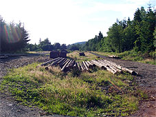 min 258 2.jpg min 258 2.jpg